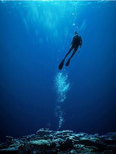 東遼縣教材有限責任公司